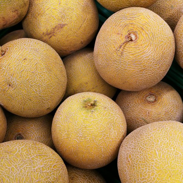 Melon