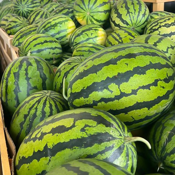 WaterMelon