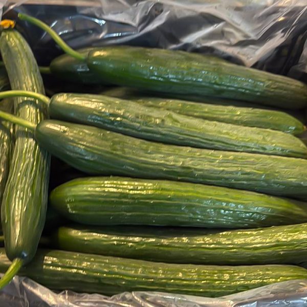 Cucumber
